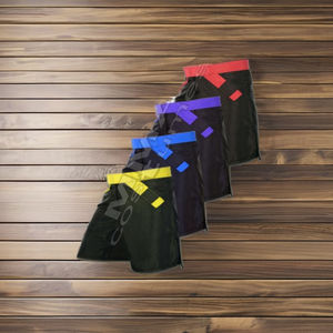 Unisex Custom Logo MMA <b>Short</b> Wholesale Polyester Sportswear for Adults OEM Customized Rank <b>Shorts</b> for Martial Arts No Gi <b>Belt</b> - Product Image 1