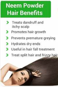 Exportateurs indiens de poudre de feuilles de Neem utilisée pour les soins de la peau et la santé, fabriquée dans le sud de l'Inde, à un prix abordable et optimal - Product Image 5