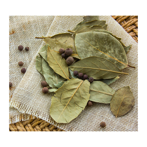 Feuilles de Laurier Indien Tej Patta à Fort Arôme, Naturelles, pour Bouillons, Transformation Alimentaire et Approvisionnement Global - Product Image 3