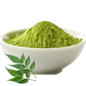 Polvo de Hoja de Neem 100% Puro y Natural de Alta Calidad de Marca Privada para el Cuidado de la Piel y el Crecimiento del Cabello, Polvo de Neem Premium al Mejor Precio - Product Image 6