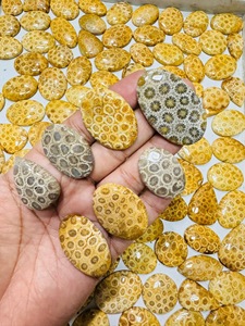 Lot de pierres naturelles agatifiées de corail fossile, cabochons à motifs rares, pierres précieuses en vrac pour la fabrication de pendentifs, bagues et bijoux - Prix de gros - Product Image 1