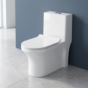 Inodoro de Cerámica de Una Pieza con Doble Descarga, Diseño Moderno para Baño y Uso Exterior, Precio Económico para el Mercado Saudí - Product Image 6