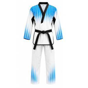 Wholesale Custom Logo PVC Silk Screen Printed Martial Arts Gi Set Front Logo Position Karate Taekwondo Judo Uniform Lightweight - Product Image 5