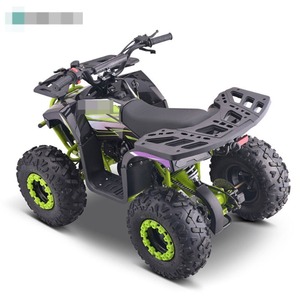 Hip/ct NEW Quad Bike 4-stroke 110cc Chain Drive 7 INCH Gasoline Off Road <b>ATV</b> for Kids With CE - Product Image 2