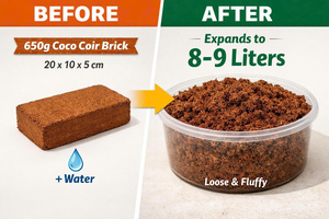 บล็อกใยมะพร้าวออร์แกนิก 650 กรัม วัสดุปลูกมะพร้าวแบบยั่งยืน - บล็อกใยมะพร้าวพรีเมียม 5 กก. วัสดุปลูกพืชไร้ดิน EC ต่ำ - Product Image 3