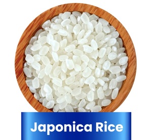 ซูชิญี่ปุ่น/ข้าวเอมิลี่0084964660879ข้าวญี่ปุ่น - Product Image 5