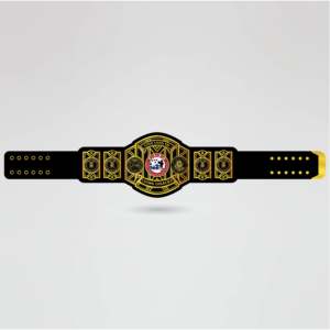 Custom Wrestling Championship <b>Belt</b> Black Strap <b>Gold</b> Metal Plates Sport Equipment Custom Championship <b>Belt</b>, Personalized Award - Product Image 2