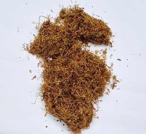 12 Herbes dorées 4 Virginia Amber Leaf, prix usine en vrac, herbes à rouler, type Amber Leaf, herbe dorée, fourniture d'usine - Product Image 3