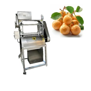 Equipo de Descorazonado de Frutas de Acero Inoxidable Totalmente Automático para Exportación de Calidad - Product Image 1
