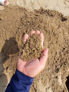 Venta caliente de arena de río pura de Vietnam Precio barato Construcción natural Arena industrial Exportación mundial - Product Image 2