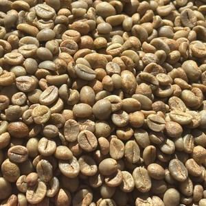 Café cru du Vietnam, grains de café entiers, qualité Miel Pur, tamis 13, 14, 16, naturel, en sacs en vrac, prix usine compétitif - Product Image 5