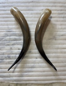 Ensemble de cornes de buffle décoratives de luxe pour la décoration intérieure des restaurants, hôtels et maisons - Product Image 3