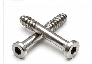 Tornillo para Madera de Primera Calidad con Cabeza Hexagonal, Apto para Vigas de Madera, Postes, Estructuras, Pérgolas y Trabajos de Carpintería Pesada - Product Image 6