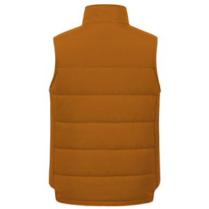 Chaleco Acolchado para Hombre, Color Marrón, Cuello Alto, Cierre de Cremallera, Estilo Casual, Color Sólido, Poliéster, Corte Regular, Resistente al Viento, Secado Rápido - Product Image 2