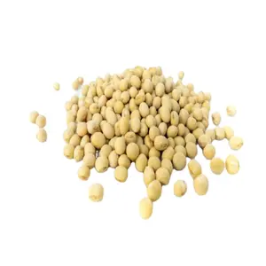 Kacang kedelai NON-GMO untuk dijual kedelai kuning untuk harga pasar terbaik murah