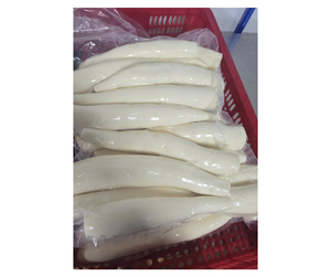 Raíz de Yuca Congelada Premium de Vietnam - Proveedor de Fábrica - Raíz de Yuca Congelada Pelada para Compradores de Alimentos a Granel - Product Image 1