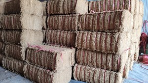 Wholesale Custom Size Eco-Friendly Reversible Coconut Fiber Rope Non-Slip Rubber Backing Pet Friendly for Hotel Use Made Vietnam - Product Image 2