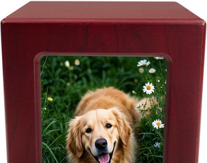 Urna Funeraria de Madera para Cenizas de Mascotas, Urnas de Cremación de Madera para Cenizas de Perros y Gatos, Urnas de Madera de Palisandro a Bajo Precio - Product Image 3