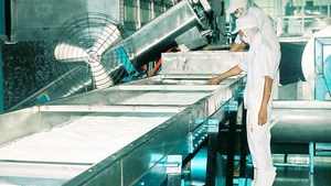 Nata de Coco de Haute Qualité, Gelée de Noix de Coco Premium, Sirop Brut, Saveur Fruitée, Approvisionnement Direct de l'Usine au Vietnam - Product Image 2