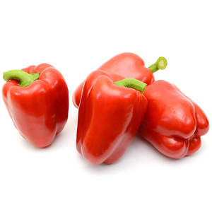 Poivron frais de type courant, jaune, rouge, vert, au goût sucré, pour la culture agricole en gros - Product Image 5