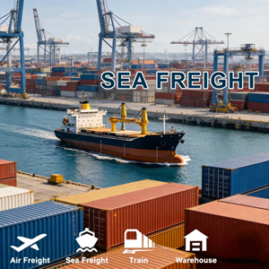 中国基于本土运营的货运公司，提供可靠的海上运输服务 佛山 广州 深圳 巴林 迪拜 加拿大 - Product Image 6