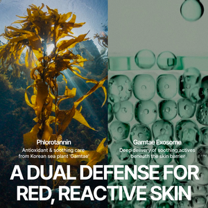 ผลิตในเกาหลี TAE743 แกรมเท ครีมบำรุงผิวหน้าสูตรเอ็กโซโซมจากทะเล ช่วยลดเลือนริ้วรอย ฟื้นฟูผิว ชุ่มชื้น เหมาะสำหรับผิวแพ้ง่าย เซรั่มบำรุงผิวลดเลือนริ้วรอย - Product Image 3