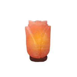 Lámpara de Sal del Himalaya Hecha a Mano con Base de Madera, Luz Relajante - Product Image 1