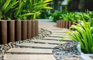 ต้นไม้ตกแต่ง ดอกไม้ประดับ หญ้าประดับ สำหรับสวน ลานบ้าน ทางเดิน ขอบสนาม - Product Image 6