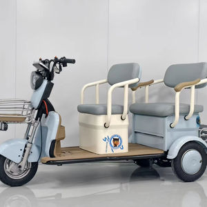 Tricycle électrique à usage récréatif avec alimentation par batterie au lithium, cadre en acier, véhicule électrique à 3 roues - Product Image 1