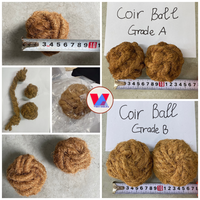 Balle à mâcher en fibre de coco naturelle de haute qualité, durable, jouet biodégradable en coque de noix de coco, sphère moléculaire pour chiens et chats, jeu interactif