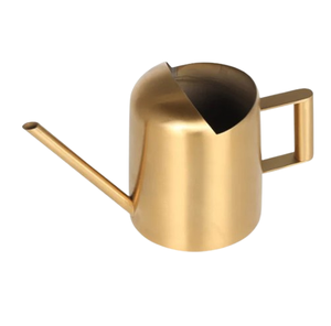 Minimalist Plants Water Can Home Gardening Silver Finished Watering Can Flowers & Garden Metal Watering Can - Product Image 6