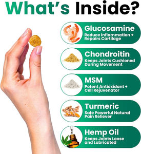 Suplemento Masticable Multivitamínico con Probióticos para Perros, Apoyo para el Intestino, Cadera y Articulaciones, Calidad de Exportación, Bajo MOQ del Fabricante - Product Image 4