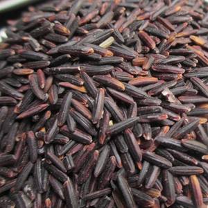 Arroz Negro de Alta Calidad, Mezcla de Arroz Glutinoso Rojo, Grano Orgánico Premium, Ideal para Restaurantes, Comercios Minoristas y Compradores al por Mayor, Precio Competitivo - Product Image 1
