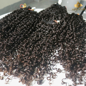 Extensiones de Cabello Humano Virgen Vietnamita Natural Negro Funmi Curl, Rizado y Voluminoso, Doble Trama, Venta al por Mayor - Product Image 5