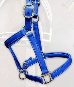 Elegante Cabestro de Cuero Vacuno Suave Color Verde Azulado con Acolchado de Neopreno y Herrajes de Acero Inoxidable para Equitación Inglesa, Venta al por Mayor OEM - Product Image 5