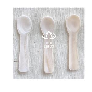 Cuchara de Nácar Ecológica, Segura y Limpia MOST WANTED 2026, Utensilio de Concha Pura Ideal para Servir Huevos y Degustar Postres, Precio Directo - Product Image 1
