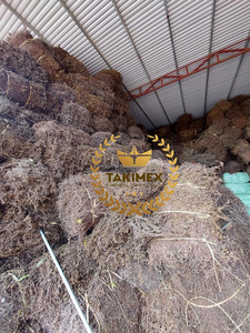 100% gelée naturelle pour Dessert feuilles de gelée d'herbe noire séchées herbe de gelée séchée pour pouding meilleure qualité du Vietnam - Product Image 6