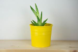 Macetero Metálico Amarillo Brillante, Perfecto para Jardines, Espacios Públicos y Decoración Exterior, Hecho a Mano en India - Product Image 5