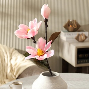 Jardinière décorative haut de gamme à finition métallique brillante pour maisons élégantes, jardinière en métal de luxe pour hall d'hôtel et décoration de bureau - Product Image 4