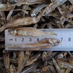 Proveedor de Anchoas Secas de Vietnam, Exportación de Mariscos Limpios y Frescos para el Mercado Europeo - Product Image 1