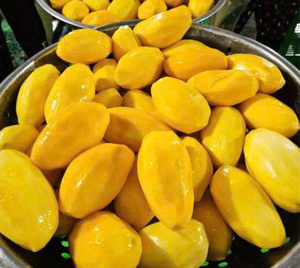 Mango Seco Suave de Vietnam en Rodajas, Envasado al Vacío, 1 kg, Proveedor, Calidad Premium, Sabor Dulce, Textura Suave, Fruta Seca, Venta al por Mayor Global - Product Image 2