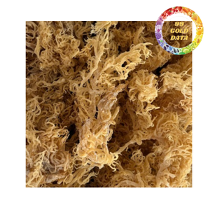 Musgo Marino Seco Premium, Ingrediente Superalimento Saludable, Fabricante Mayorista de Marca Privada - Product Image 5