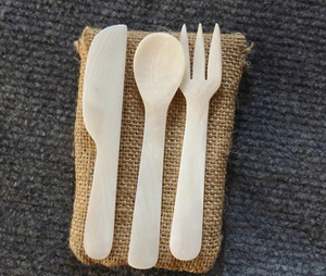 Customized White Mother of Pearl Spoon Natural Shell Caviar Spoon Fine Dining Dessert Seashell Spoon Direct Factory Supply - Product Image 3