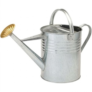 Arrosoir en métal galvanisé fantaisie avec motif en relief, outils de jardin durables pour l'entretien des plantes d'intérieur et d'extérieur - Product Image 2