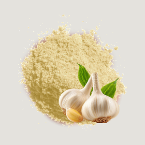 Poudre d'extrait d'ail de qualité supérieure, conçue pour les fabricants d'aliments, les marques d'assaisonnements et les applications culinaires à grande échelle - Product Image 2