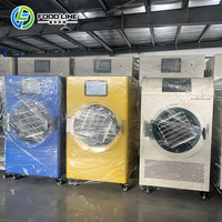 Automatische digitale besturing 4-6kg huishoudelijke voedselvacuümvriesdroogmachine
