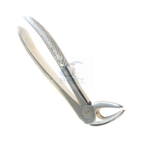 Pinzas Quirúrgicas Dentales Premium para Extracción de Dientes y Aplicaciones de Cuidado Dental, Instrumento de Extracción de Acero Inoxidable - Product Image 2