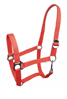 Équipement essentiel de licou de cheval de selle anglaise en nylon et PP de haute qualité pour l'équitation plusieurs couleurs disponibles