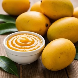 Puré de Mango Congelado al por Mayor – Puré de Mango de Alta Calidad para la Elaboración de Bebidas - Product Image 1