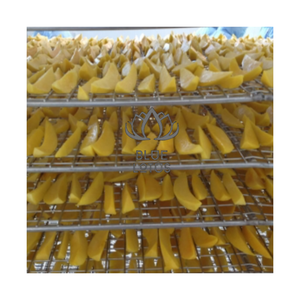 Mangues séchées de haute qualité 2025 pour boîte à lunch des enfants et collations de pause au bureau – Source de fibres pure, certifiées sûres, en conditionnements alimentaires - Product Image 1